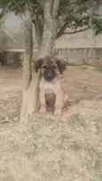 Einstein 