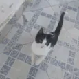 Não tem nome