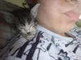 Mia
