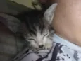 Mia