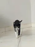 Lupita