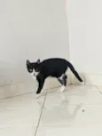 Lupita
