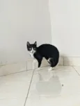 Lupita