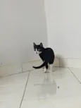 Lupita