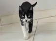 Lupita