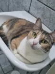 Nina