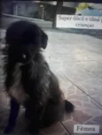 Belinha