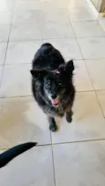 Meg