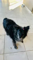 Meg