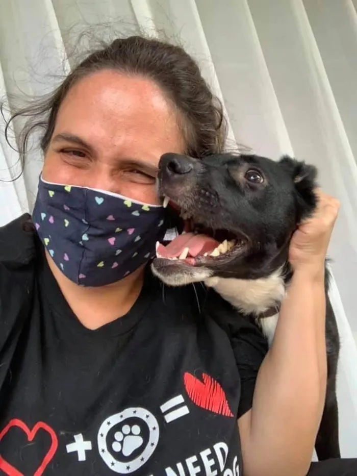 Cachorro ra a SRD-ViraLata idade 5 anos nome Neto