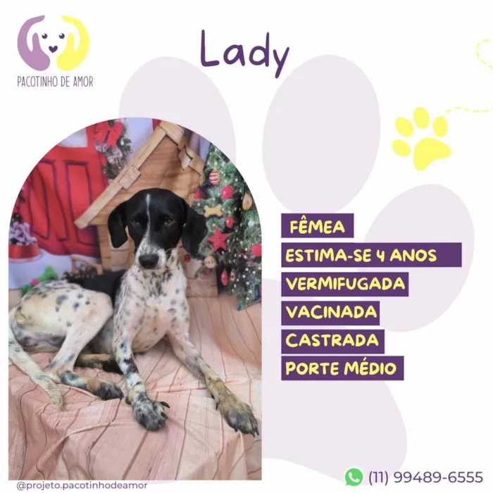 Cachorro ra a SRD-ViraLata idade 4 anos nome Lady