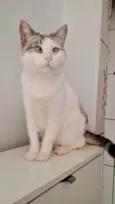Rubi