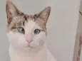 Rubi