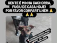 MIUDA