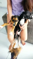 ANA CRISTINA LEITAO DOS SANTOS