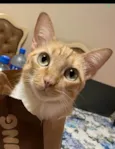 Zoe 