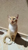 Zoe 
