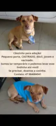 Caramelo