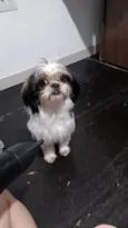 Bob