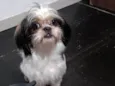 Bob