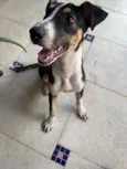 Vitória 
