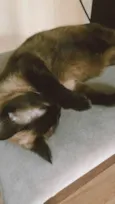 YODA