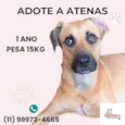 Atenas