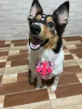 Lola