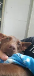 nao definido