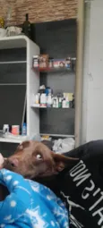 nao definido