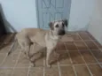 Não sei 