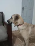 Não sei 