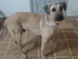 Não sei 