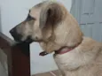 Não sei 