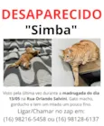 SIMBA