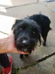Zezé