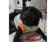 Zezé 
