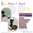 Jessy e Jeyne
