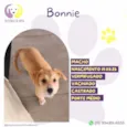 Bonnie