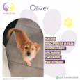 Oliver