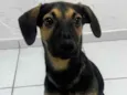 Billy