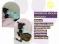 Jessy e Jeyne
