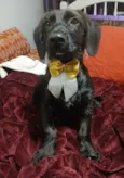 Chokito