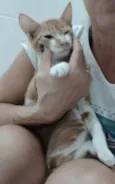 HUGO