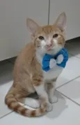 HUGO