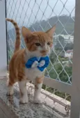 HUGO