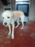 billy