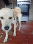 billy