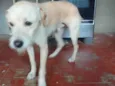 billy