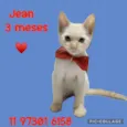 Jean